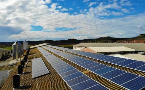 El objetivo de esta jornada es generar conciencia sobre el calentamiento global.