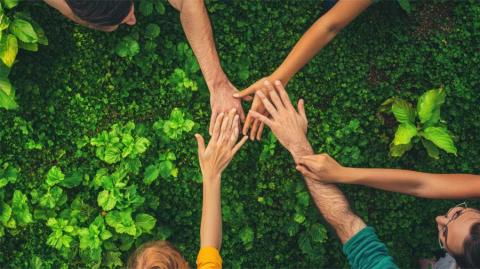 En la elaboración del estudio, se han examinado 284 ONG acreditadas a partir de documentación verificable.