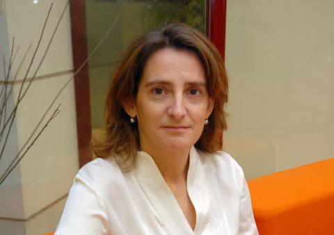 Teresa Ribera, ministra para la Transición Ecológica.