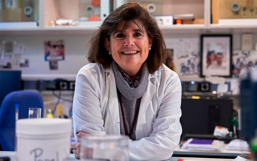 Dra. Ana Martínez Gil.