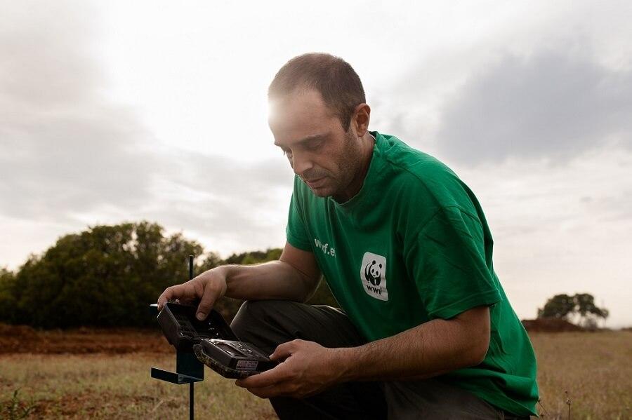 Ramon Pérez de Ayala, experto en lince de la WWF. © Sergio Marijuan / WWF. Ramon Pérez de Ayala, experto en lince de la WWF. © Sergio Marijuan / WWF.