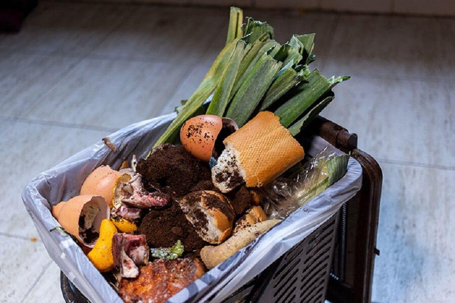 El deterioro de los alimentos es la principal causa del desperdicio alimentario, motivado principalmente por una mala gestión. El deterioro de los alimentos es la principal causa del desperdicio alimentario, motivado principalmente por una mala gestión.