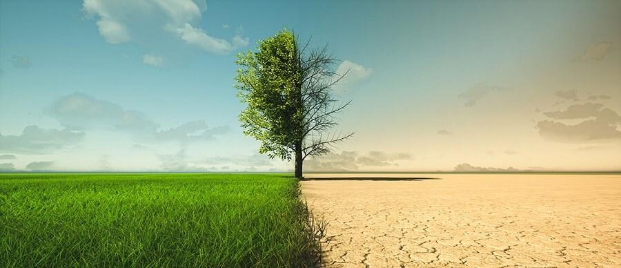 Esta sequía reduce la cantidad de agua disponible para las comunidades, la agricultura y los ecosistemas, lo que ejerce una mayor presión sobre el abastecimiento mundial de agua. Esta sequía reduce la cantidad de agua disponible para las comunidades, la agricultura y los ecosistemas, lo que ejerce una mayor presión sobre el abastecimiento mundial de agua.