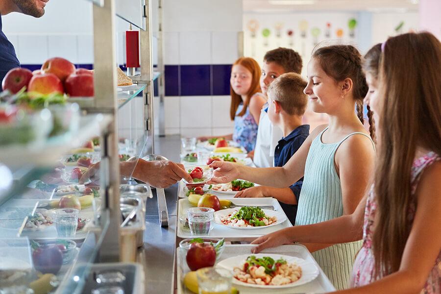 A través de dinámicas educativas, el proyecto busca concienciar sobre cómo las decisiones diarias en nuestra alimentación, tales como optar por alimentos locales y de temporada, impactan significativamente en el medioambiente. A través de dinámicas educativas, el proyecto busca concienciar sobre cómo las decisiones diarias en nuestra alimentación, tales como optar por alimentos locales y de temporada, impactan significativamente en el medioambiente.