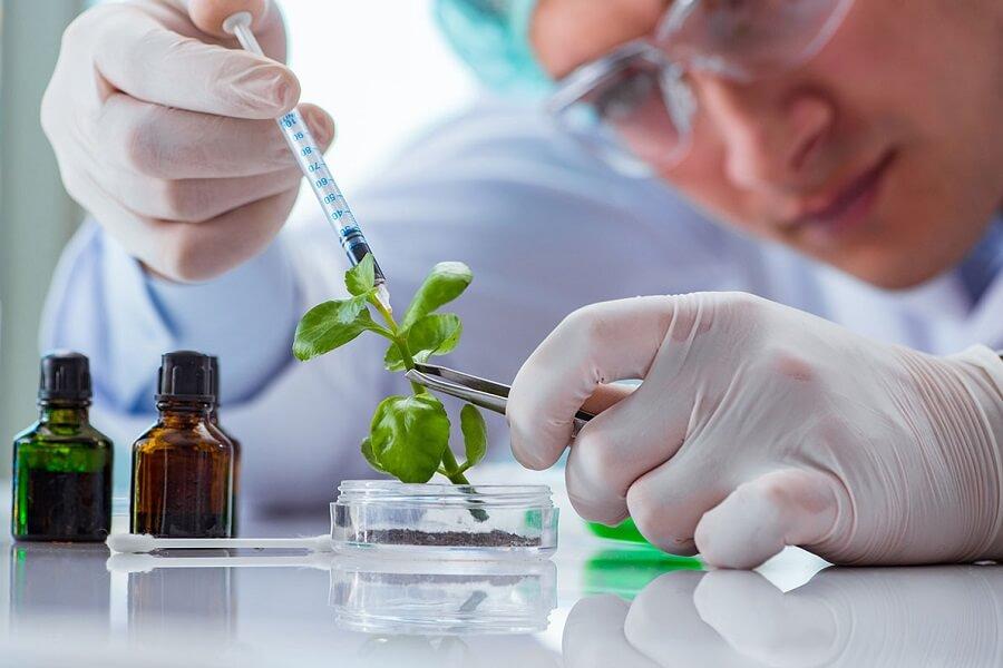 La biotecnología puede contribuir a crear una Unión Europea más competitiva y resiliente. La biotecnología puede contribuir a crear una Unión Europea más competitiva y resiliente.