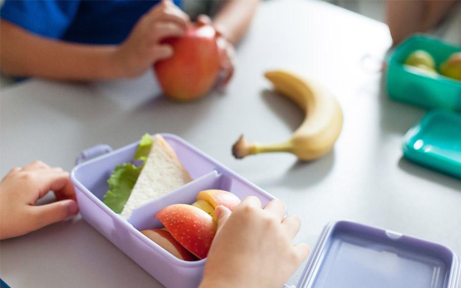 El estudio investiga la relación entre llevar una dieta nutritiva y adecuada y el poder adquisitivo. El estudio investiga la relación entre llevar una dieta nutritiva y adecuada y el poder adquisitivo.