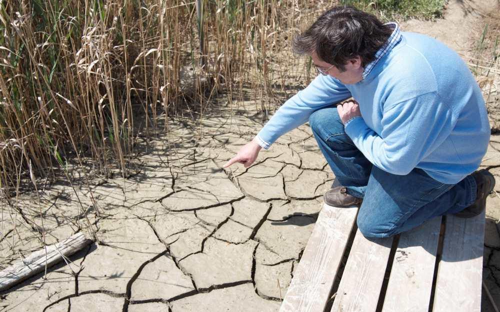 El 45% del territorio rural español está sometido a problemas de aridez.