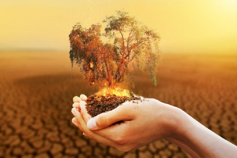 El cuidado del planeta, una prioridad insoslayable para la supervivencia humana.