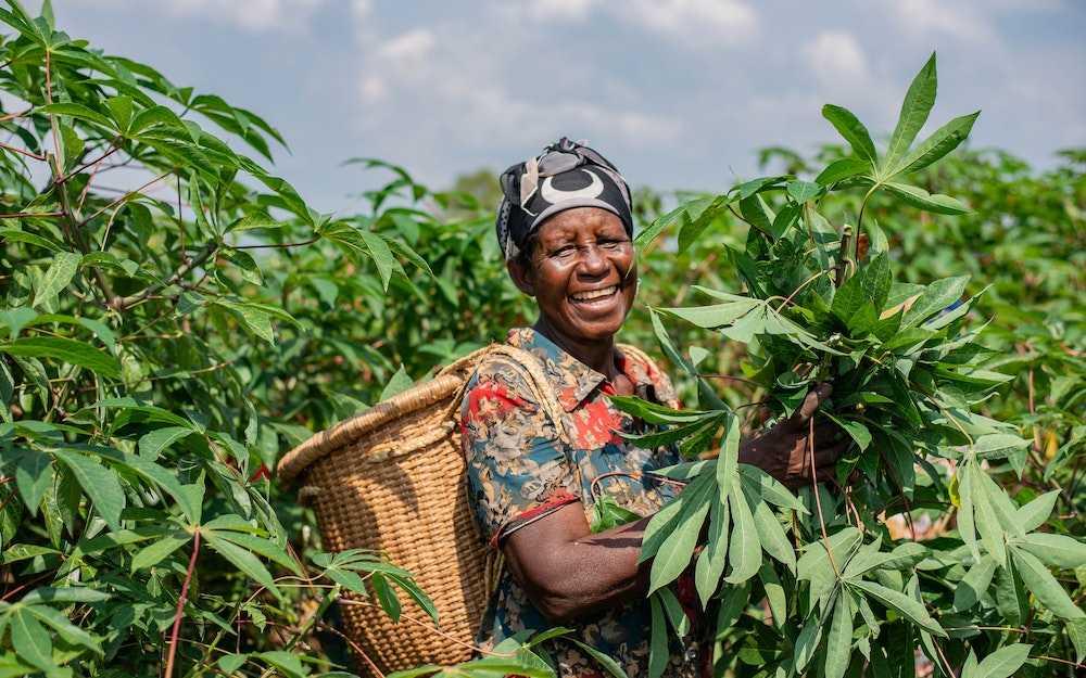 Las condiciones laborales de las mujeres agricultoras tienden a ser peores que las de los hombres.