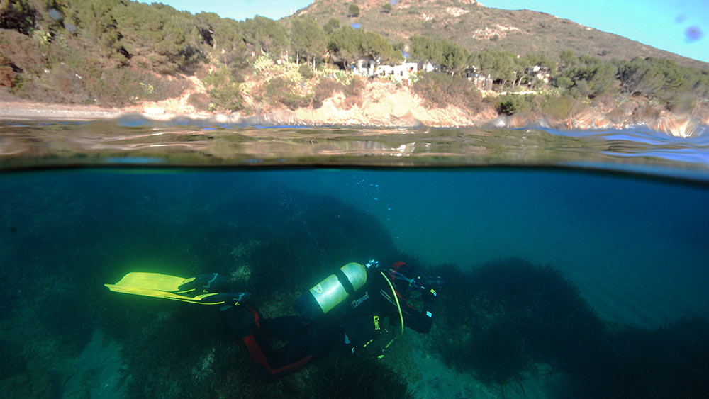 Submon realiza inmersiones para monitorizar el estado de las praderas de posidonia.